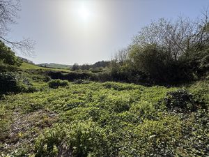 Additional Garden- click for photo gallery